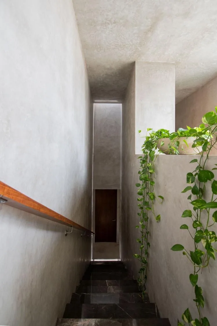 BIM Architecture | Empírea House/TACO Taller de arquitectura contextual
