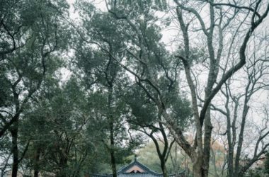 BIM-Driven Renovation of Liangshu Art Museum in Bayi Park, Nanchang by XAA Architects-BIM WORLD