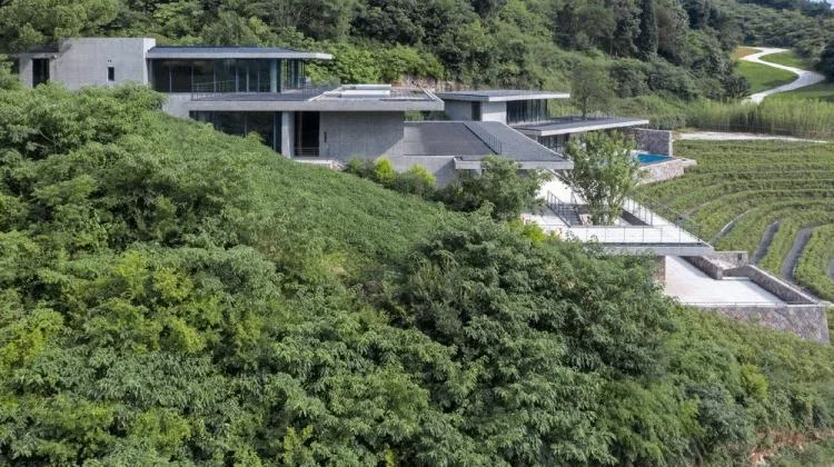 BIM Architecture | Defined Landscape: Fishing Village Tea House/Meng Fanhao - ad x line+
