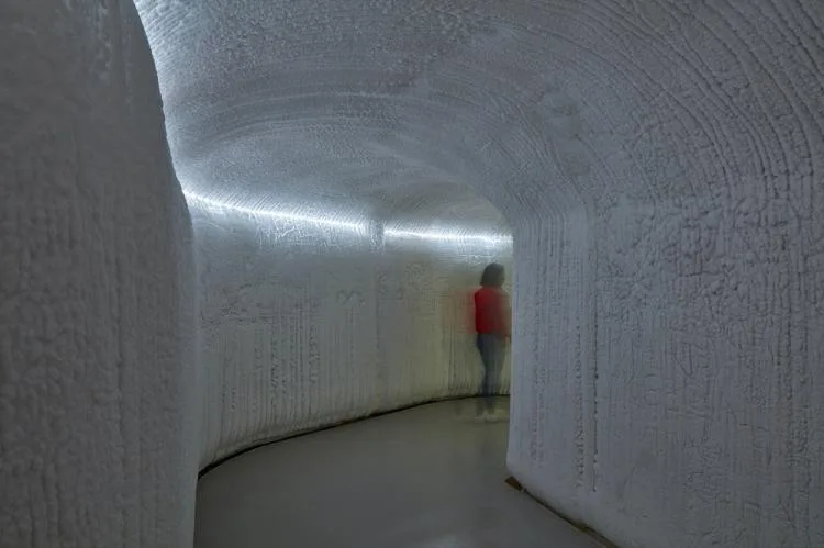 BIM Architecture | Montreal Dome Museum of Biological Sciences/Kanva