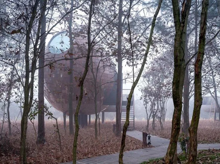 BIM architecture | Seed wooden houses/fallow buildings