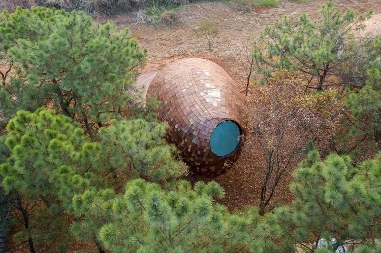 BIM architecture | Seed wooden houses/fallow buildings