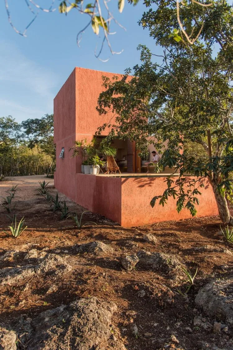 BIM Architecture | Mexican House of Cards/TACO Taller de Arquitectura Contextual