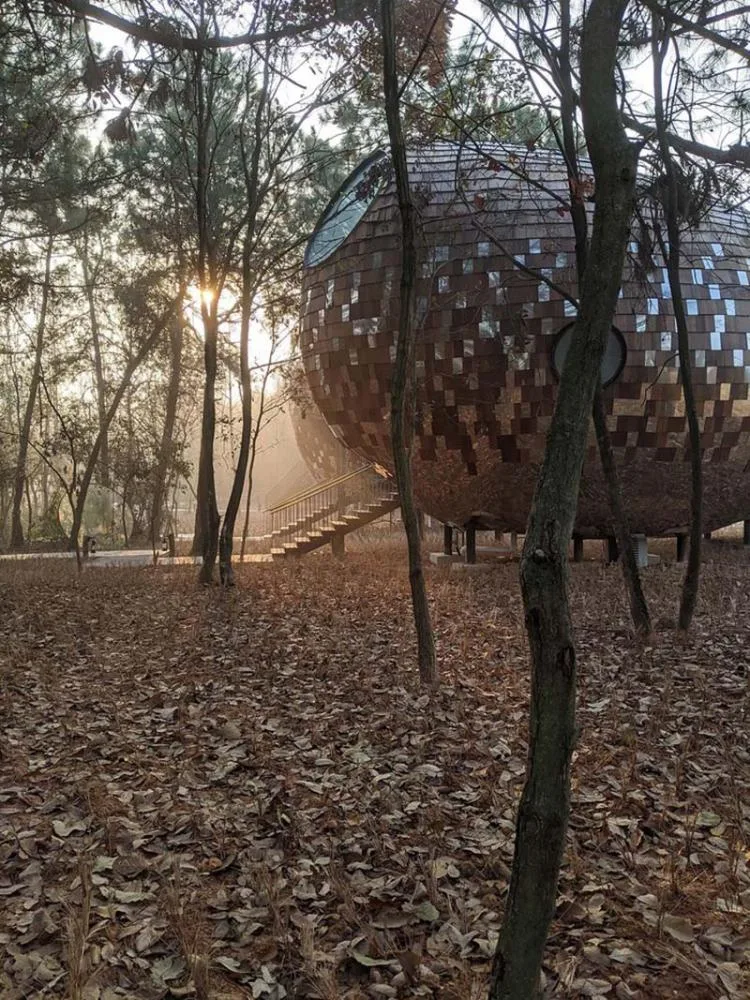 BIM architecture | Seed wooden houses/fallow buildings