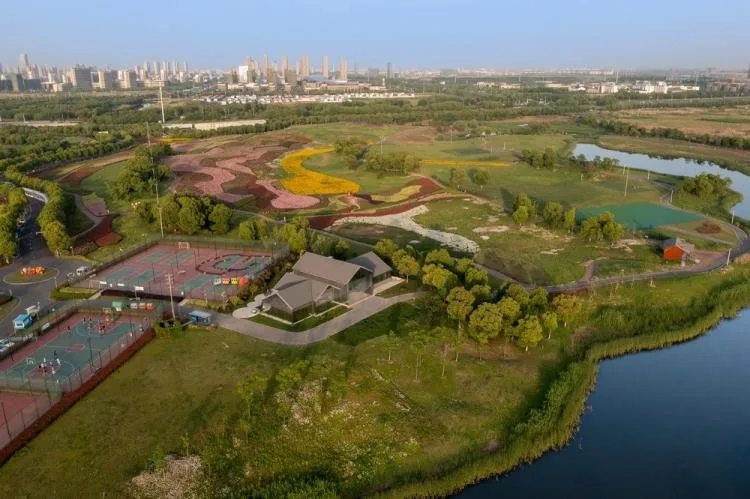BIM Architecture | Lim Coffee/Terrace Design for Suzhou Bay Sports Park