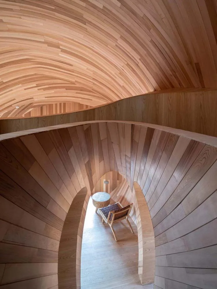 BIM architecture | Seed wooden houses/fallow buildings