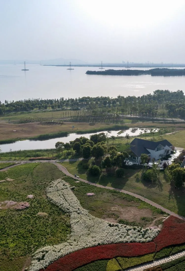 BIM Architecture | Lim Coffee/Terrace Design for Suzhou Bay Sports Park