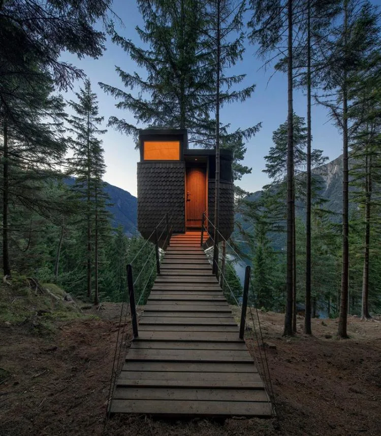 BIM Architecture | Norwegian 'Bird's Nest' style hut, supported by a tree trunk for a 15 ㎡ space/Helen& Hard