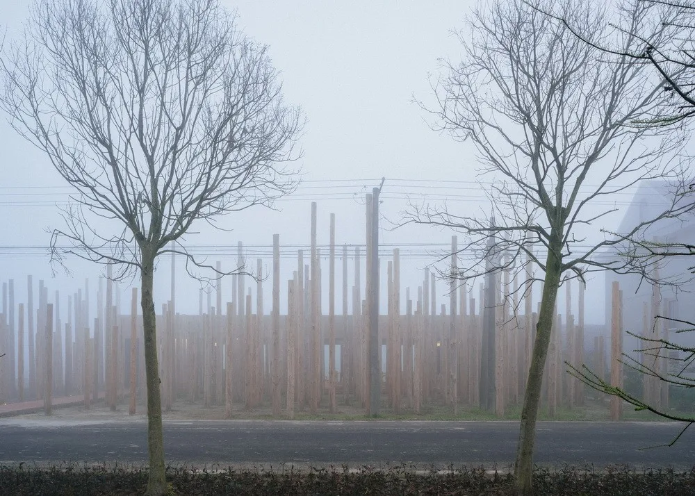 BIM Architecture | Library in the Woods: The Translation of Nature into Architecture/Space