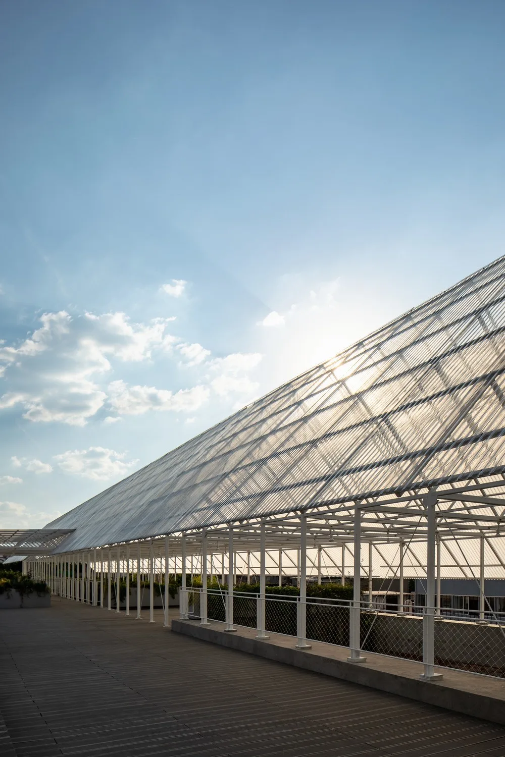 BIM Architecture | New Ideas for Building Protection - Adding a Roof to Old Structures/PRODUCORA Firm