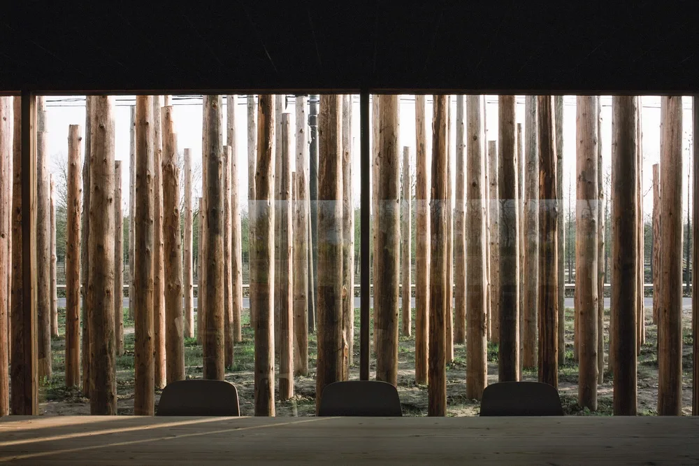 BIM Architecture | Library in the Woods: The Translation of Nature into Architecture/Space