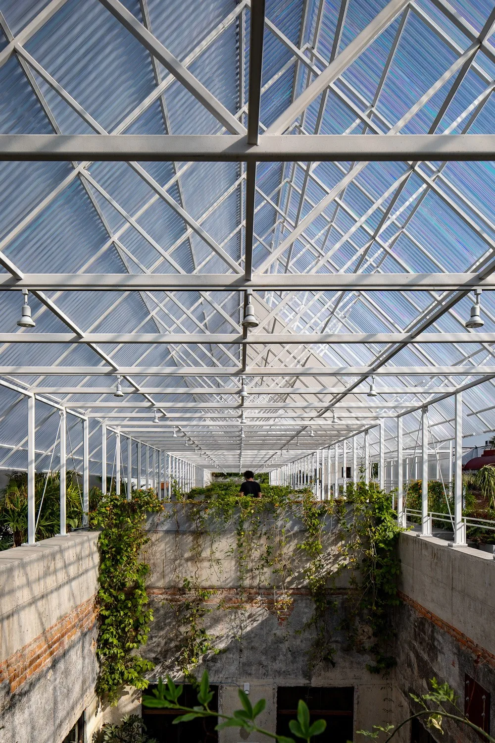 BIM Architecture | New Ideas for Building Protection - Adding a Roof to Old Structures/PRODUCORA Firm