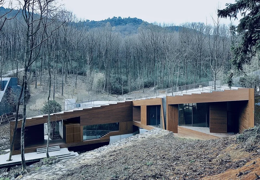 BIM Architecture | Not Residential Forest | Healing Resort Hotel/TAOA Tao Lei Architecture