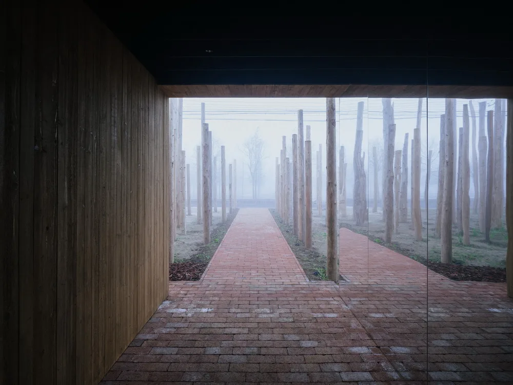 BIM Architecture | Library in the Woods: The Translation of Nature into Architecture/Space