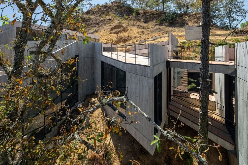 BIM Architecture | Concerto of Blocks: Mexican Silkworm Garden/LAMZ Arquitectura