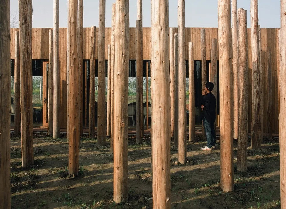 BIM Architecture | Library in the Woods: The Translation of Nature into Architecture/Space