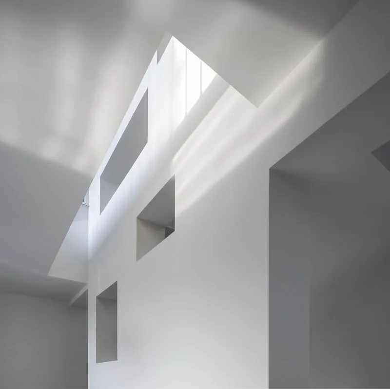 BIM Architecture | Forbes listed architect creates 400 square meter 'terraced house' with 700000 RMB/Toyoma Architects