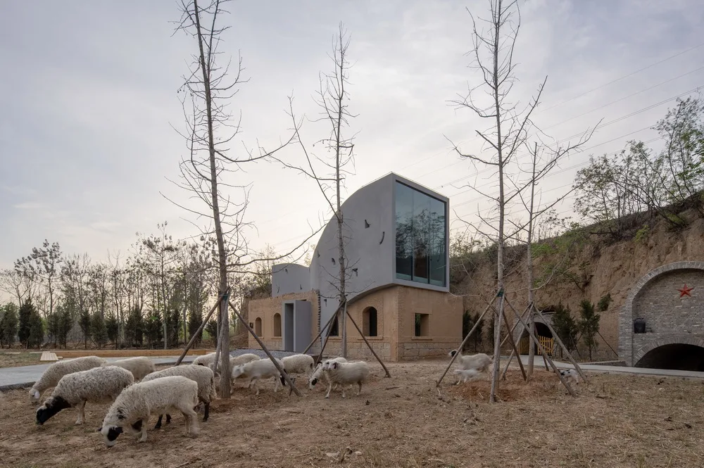 BIM Architecture | Micro Architecture Series II - Ruins Book House/One Tree Building