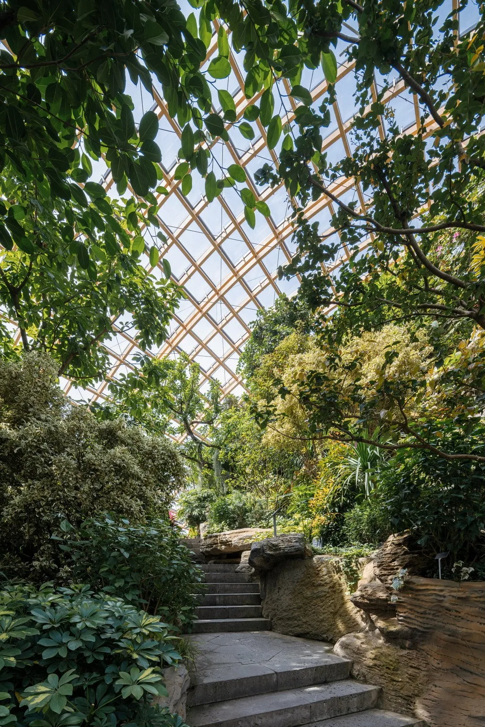 BIM Architecture | Taiyuan Dome Botanical Garden/DMAA, Shanxi