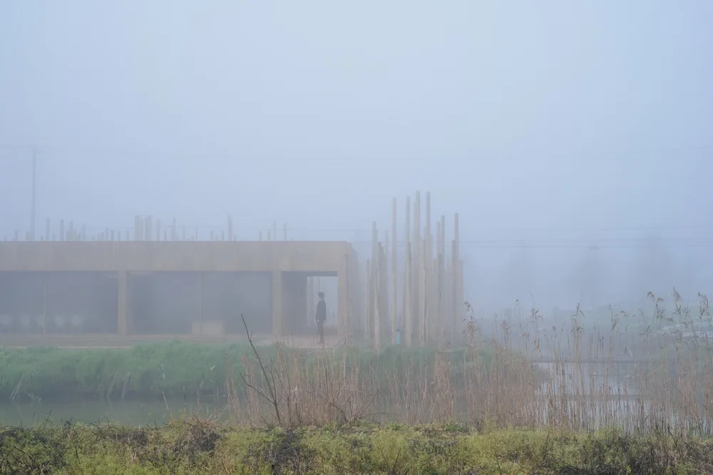 BIM Architecture | Library in the Woods: The Translation of Nature into Architecture/Space