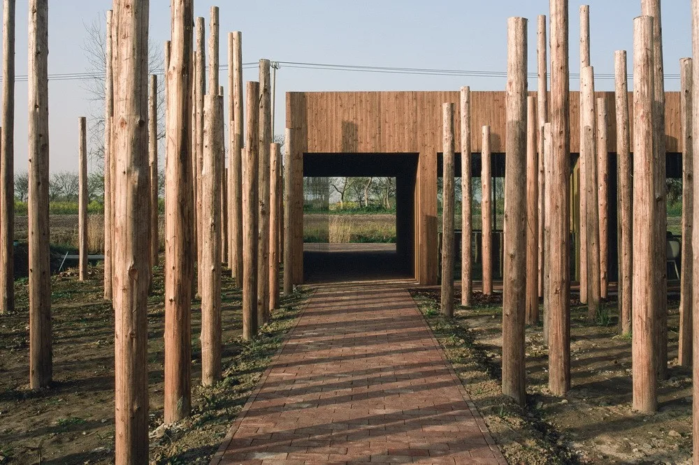 BIM Architecture | Library in the Woods: The Translation of Nature into Architecture/Space