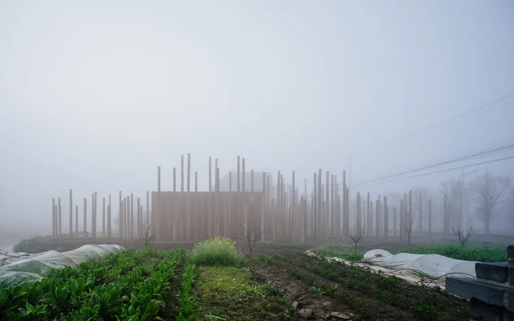 BIM Architecture | Library in the Woods: The Translation of Nature into Architecture/Space