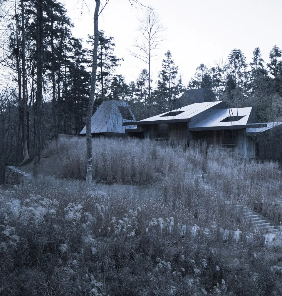 BIM Architecture | Not Residential Forest | Healing Resort Hotel/TAOA Tao Lei Architecture