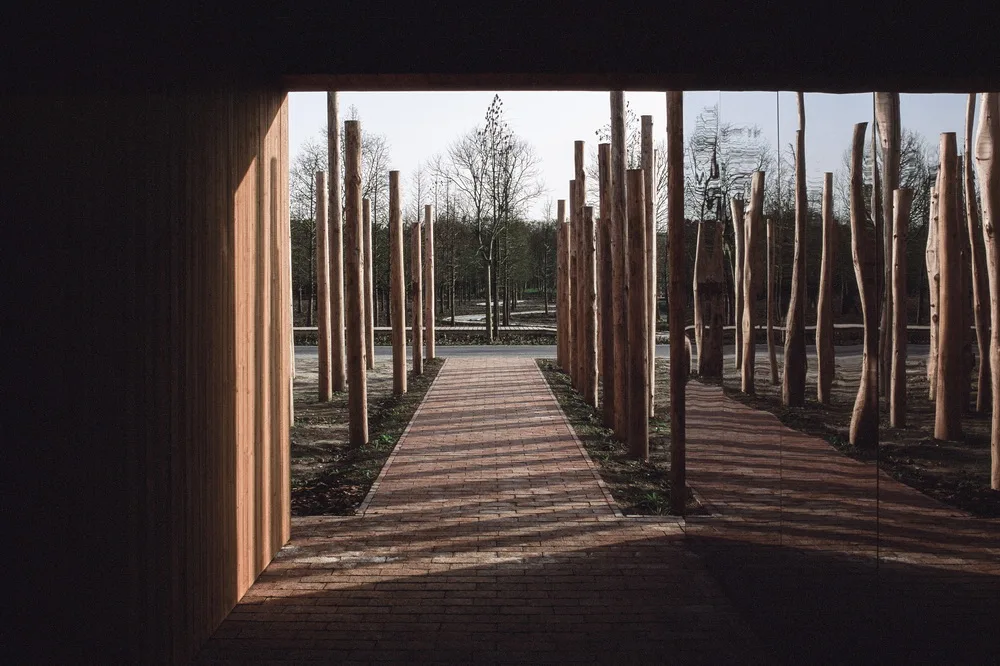 BIM Architecture | Library in the Woods: The Translation of Nature into Architecture/Space