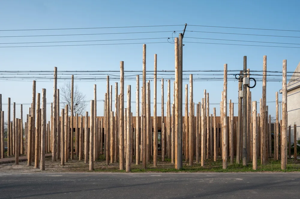 BIM Architecture | Library in the Woods: The Translation of Nature into Architecture/Space