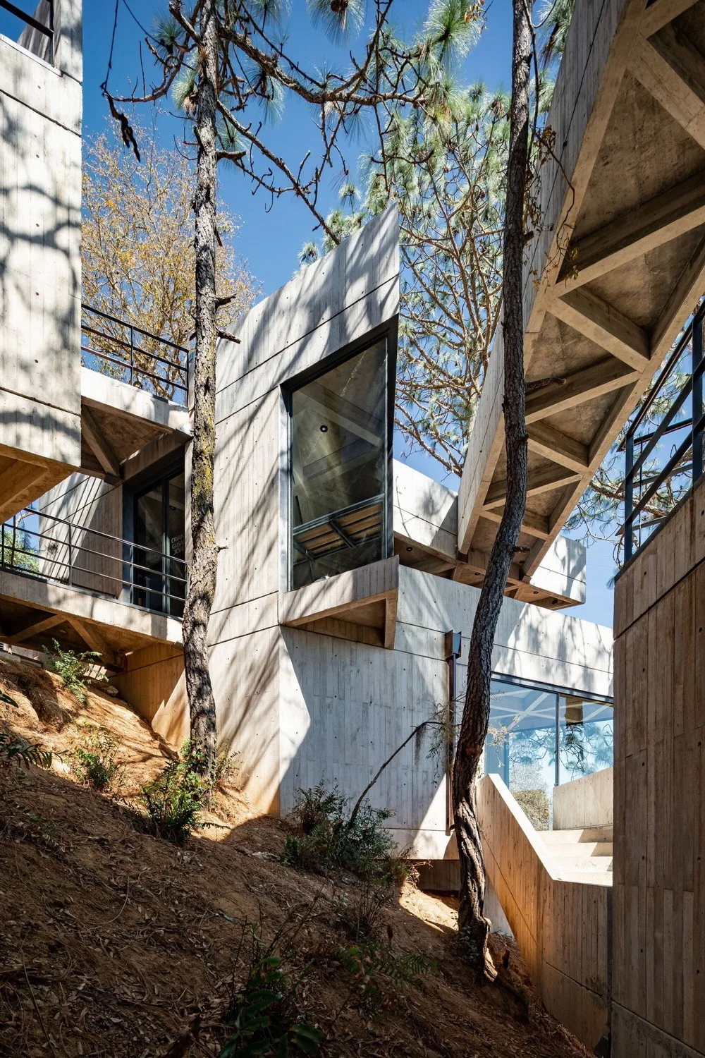 BIM Architecture | Concerto of Blocks: Mexican Silkworm Garden/LAMZ Arquitectura