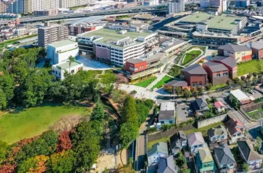 BIM Design of Grandberry Park Commercial Complex by LLA in Minamachida, Japan-BIM WORLD
