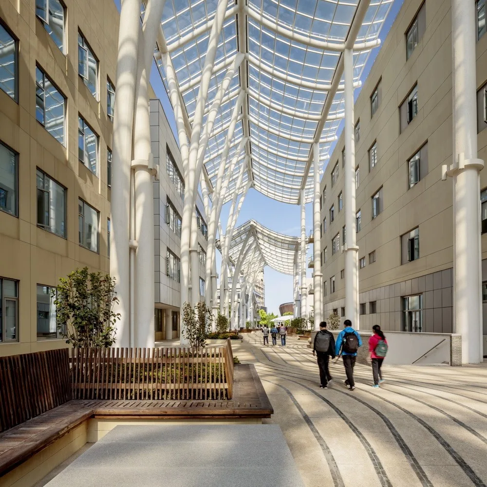 BIM Architecture | ShanghaiTech University/Moore Ruble Yudell