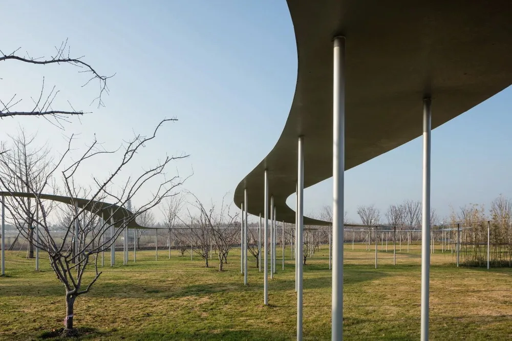 BIM Architecture | Jining Art Museum/Xize Liwei Architectural Firm