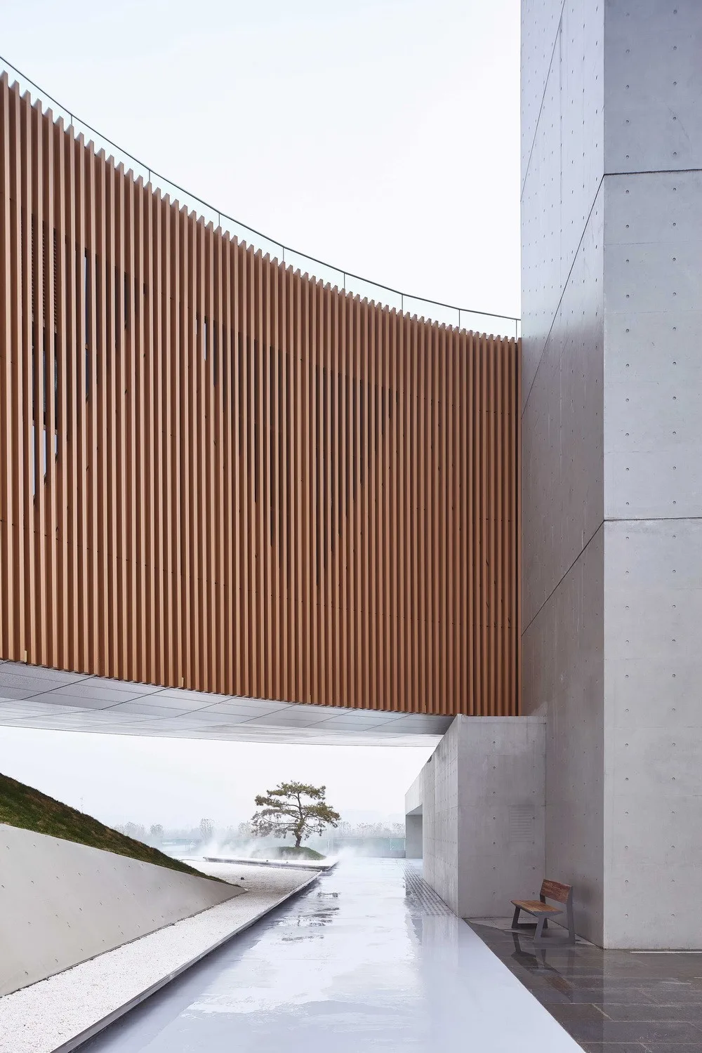 BIM Architecture | Longhu Public Art Center/STUDIO A in Zhengdong New District+