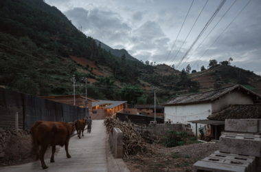 BIM-Driven Design of Yong'an Rural Public Spaces for Poverty Alleviation | Tongji University Research Institute-BIM WORLD
