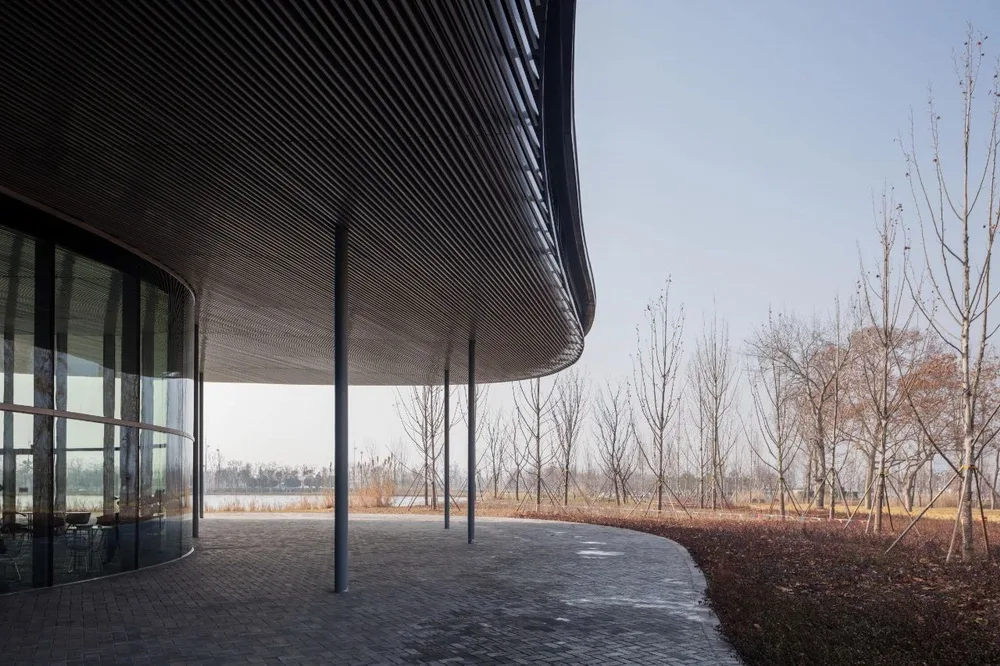 BIM Architecture | Jining Art Museum/Xize Liwei Architectural Firm