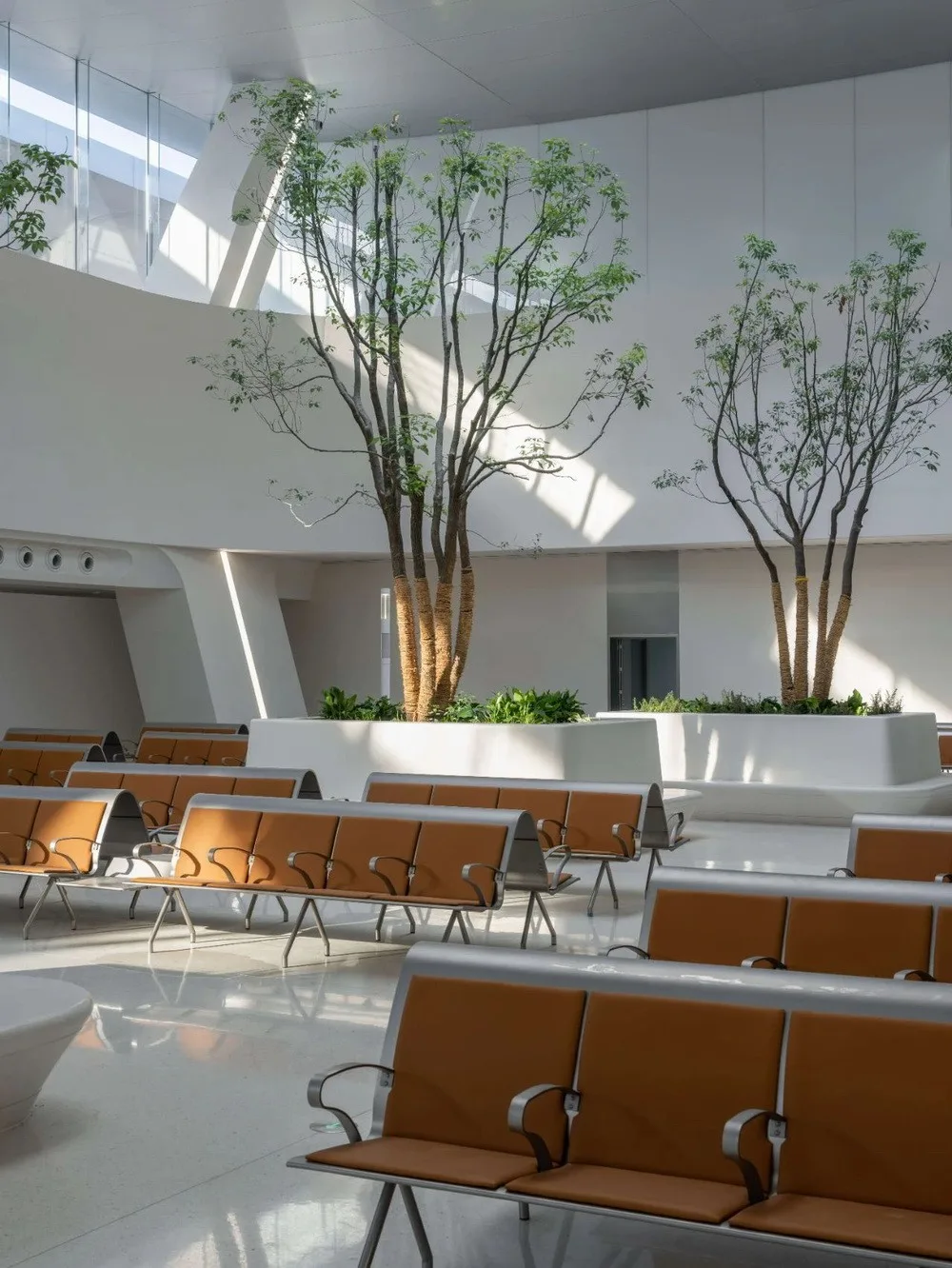 BIM Architecture | 'Railway Station in the Forest': Jiaxing Railway Station is now open for operation/MAD