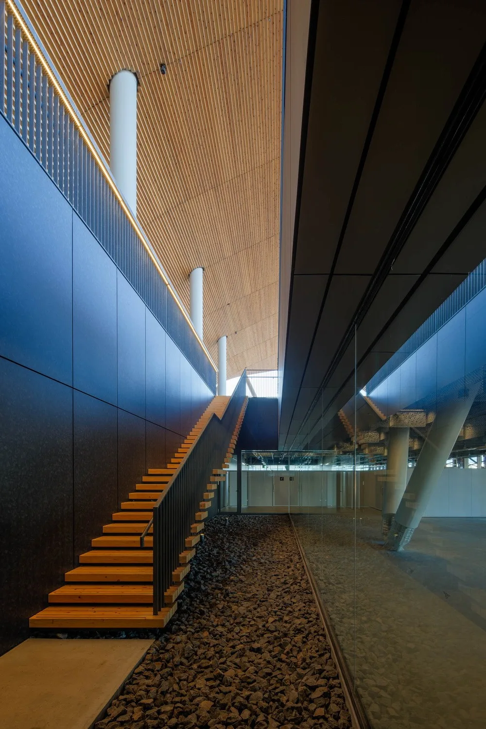 BIM Architecture | [Tokyo Olympics Opening] Ariake Gymnastics Arena/Nikken Design+Shimizu Corporation