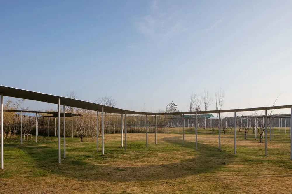 BIM Architecture | Jining Art Museum/Xize Liwei Architectural Firm