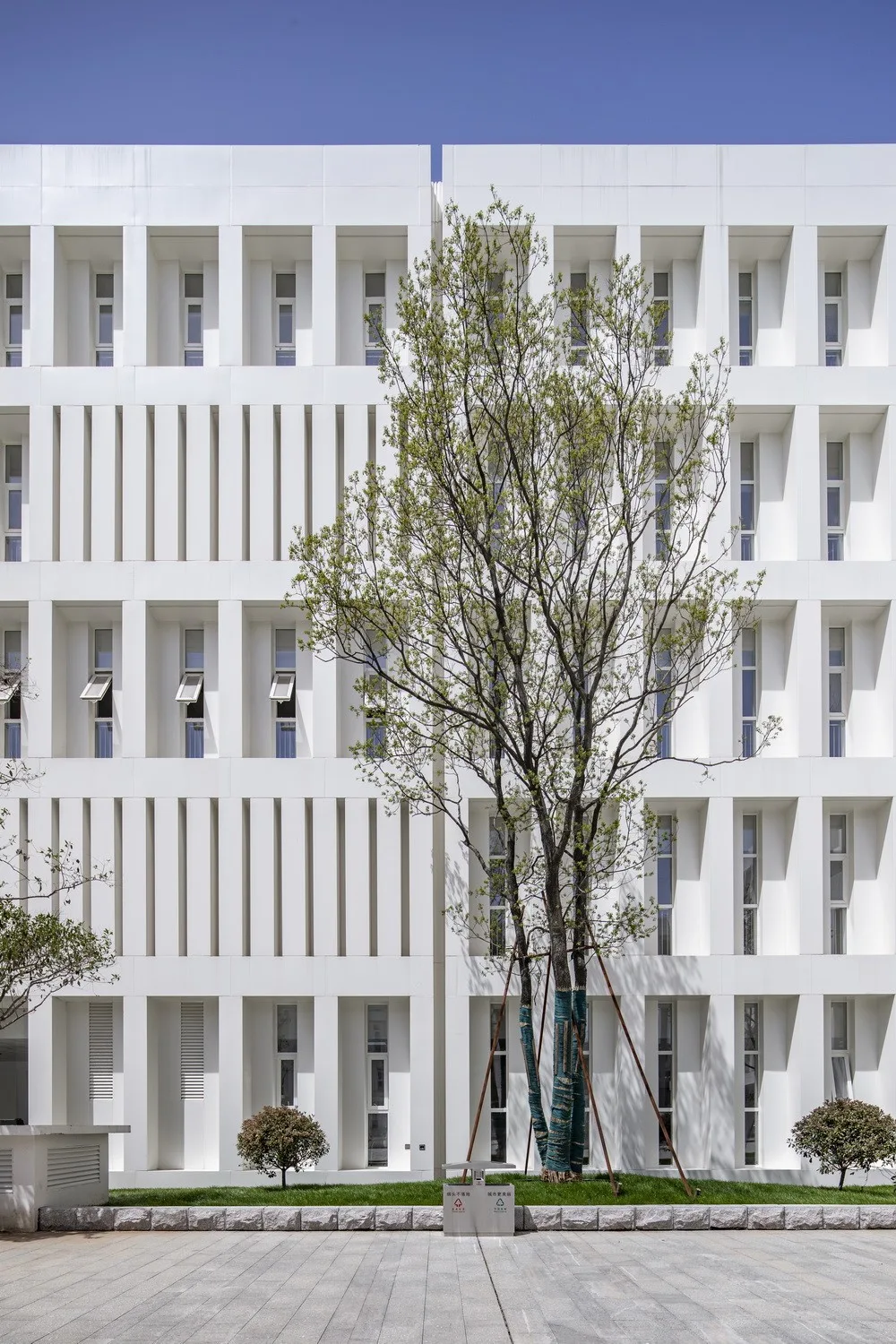 BIM Architecture | Yinan Library and Archives, Shandong/Central Academy of Fine Arts Architecture Studio 7 (Park Yu Urban Architecture Design Studio)