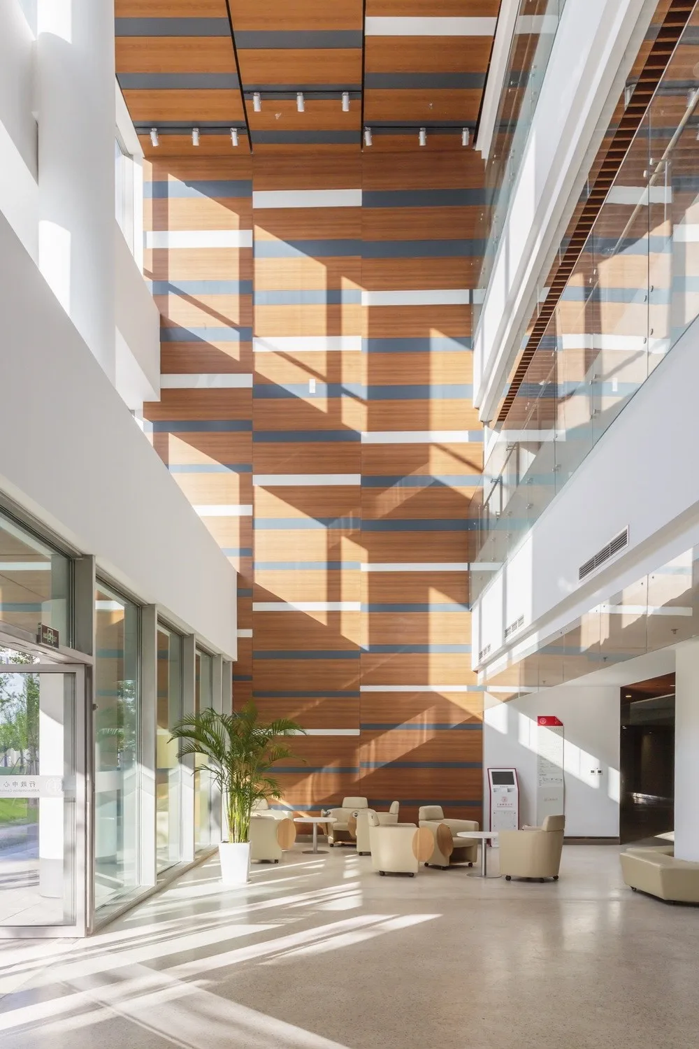 BIM Architecture | ShanghaiTech University/Moore Ruble Yudell