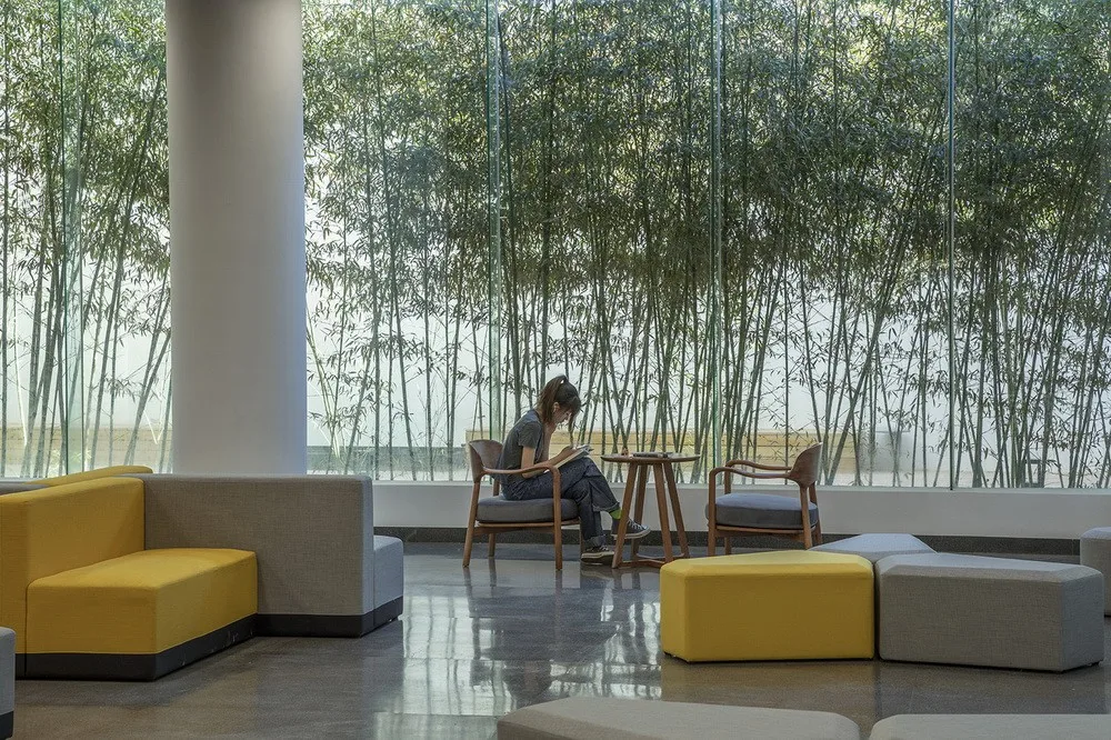 BIM Architecture | Central Academy of Fine Arts Yanjiao Campus Library Renovation/Three Literature Architecture/He Wei Studio