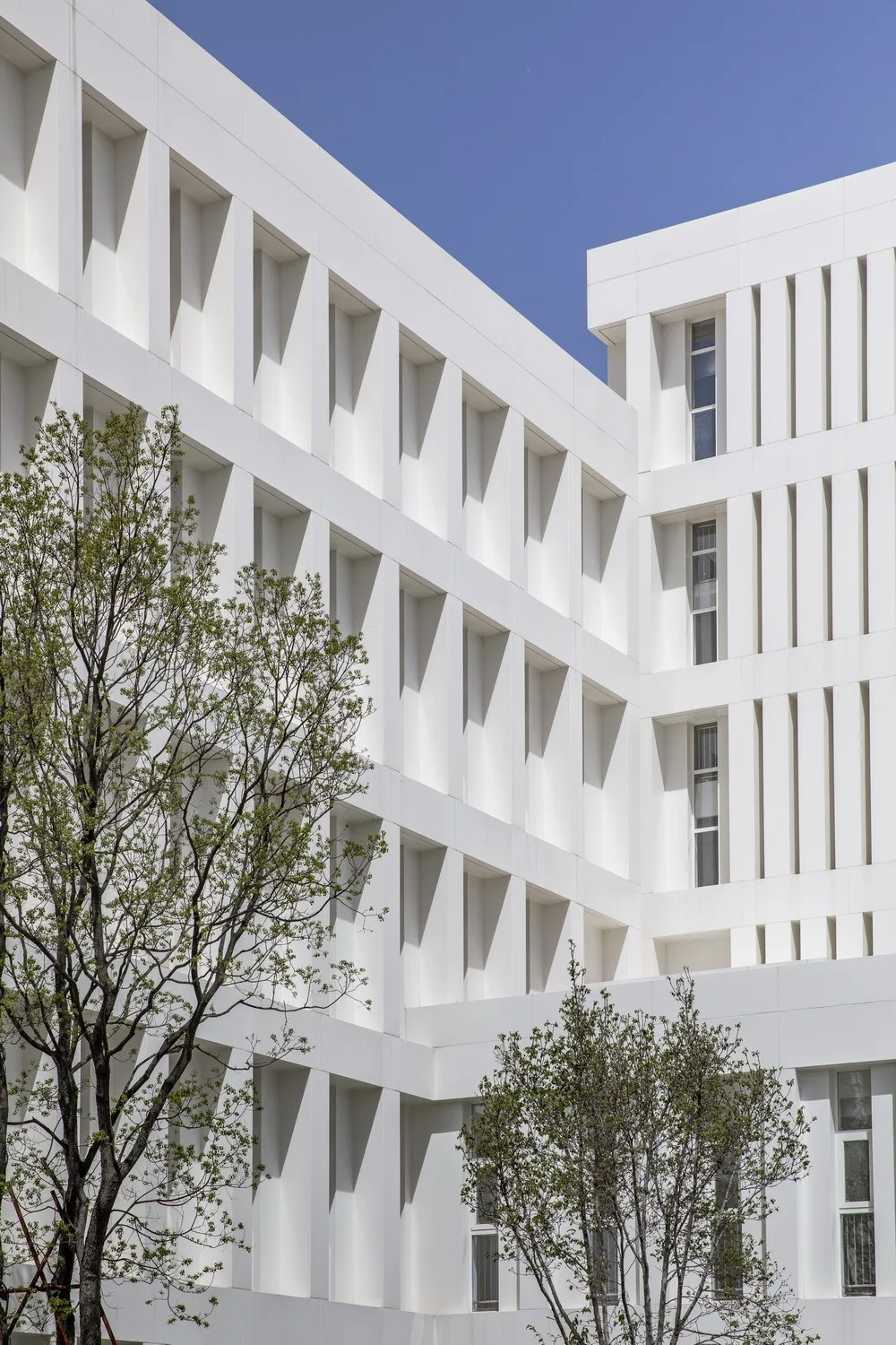 BIM Architecture | Yinan Library and Archives, Shandong/Central Academy of Fine Arts Architecture Studio 7 (Park Yu Urban Architecture Design Studio)