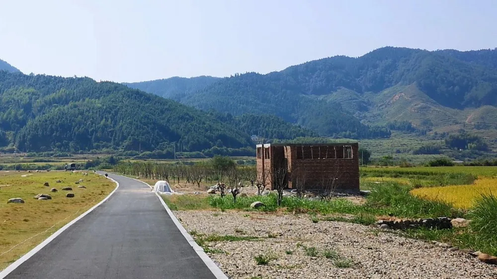 BIM architecture | Opinion interview | How to have a dignified toilet in rural China?