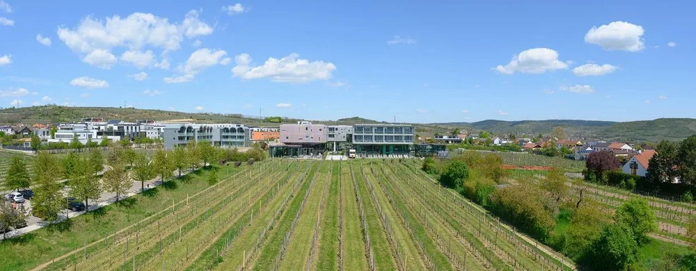 BIM Architecture | Expansion of Rossum Hotel in Austria/Steven Hall&Associates