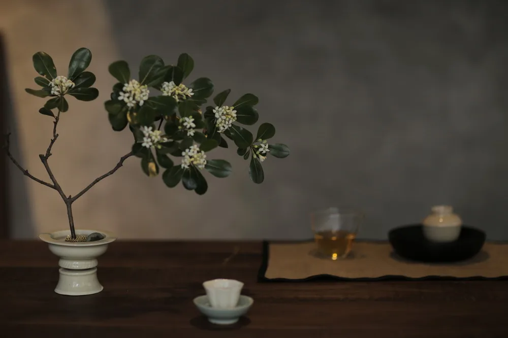 BIM Architecture | Placing a forest in the city of Chengdu is a construction of an unknown spring tea house/location