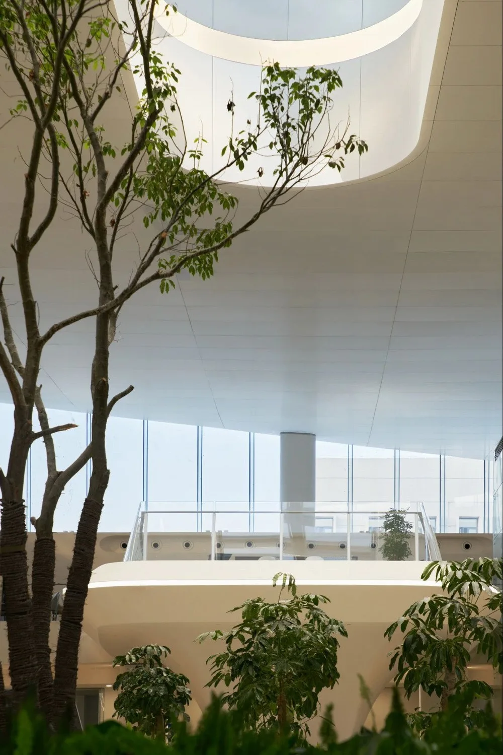 BIM Architecture | 'Railway Station in the Forest': Jiaxing Railway Station is now open for operation/MAD