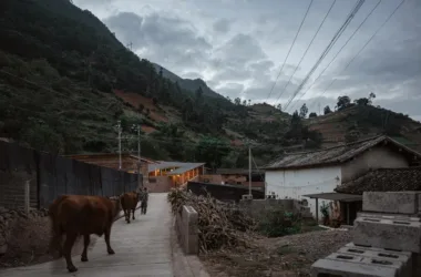 BIM-Driven Design of Yong'an Rural Public Spaces for Poverty Alleviation | Tongji University Research Institute-BIM WORLD