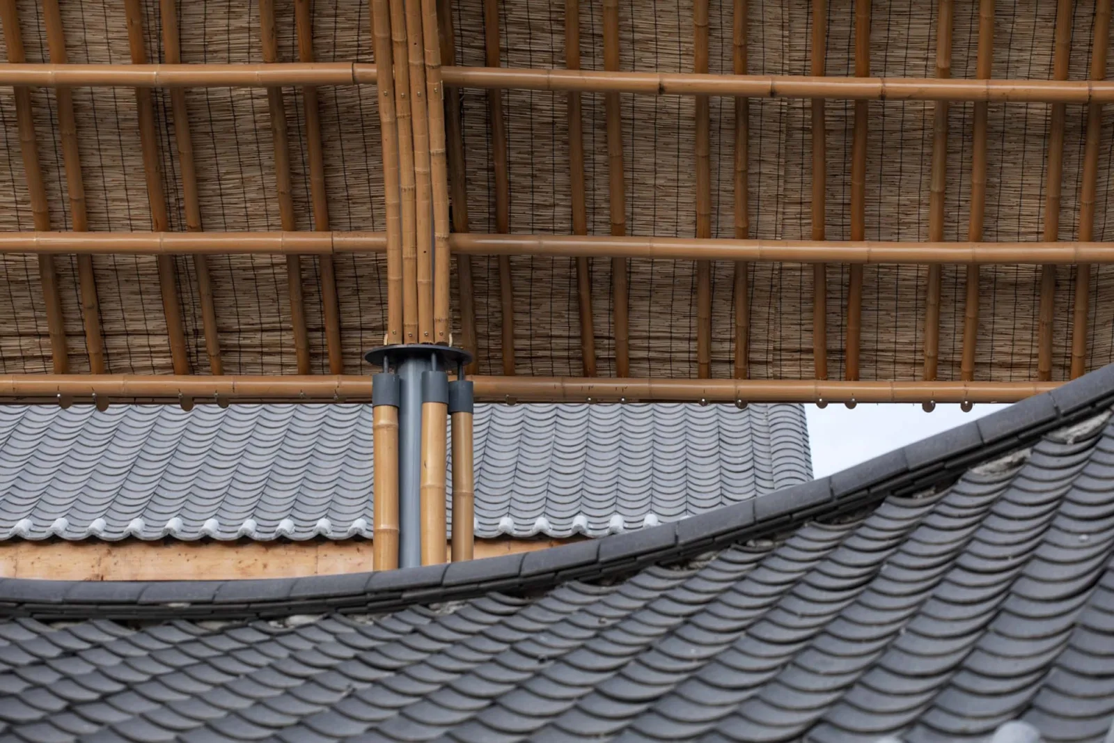 BIM Architecture | Chengdu Jintang Yuanjuesi Village Villager Center/Xingzhu Architecture