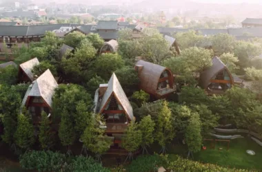 BIM Architecture: Lebei Tree House by AOE Construction Team-BIM WORLD